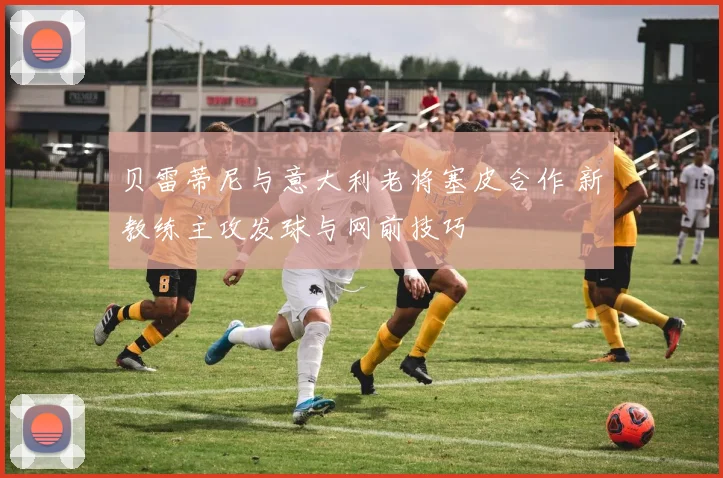 贝雷蒂尼与意大利老将塞皮合作 新教练主攻发球与网前技巧